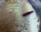 筍と蕗の煮物作り方1写真