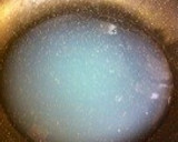 ☆あさりの炊き込みご飯☆作り方6写真