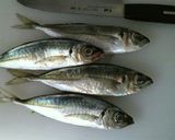 お酢で健康!イチオシ☆アジの南蛮漬け作り方2写真