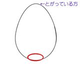 ためして！ツルンとゆでたまご作り方1写真