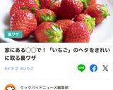 #簡単！#いちご・イチゴ・苺のヘタ取り方作り方9写真