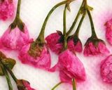 * 八重桜 ❤ 桜の花の塩漬け♪作り方4写真