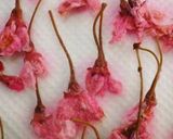 * 八重桜 ❤ 桜の花の塩漬け♪作り方6写真