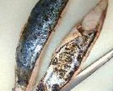 たたき丼。作り方23写真