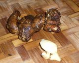 パクーalaココナツミルク作り方7写真