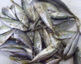 豆鯵の南蛮漬け♪作り方2写真