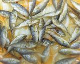 豆鯵の南蛮漬け♪作り方3写真