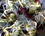 マグロとアボカドのカルパッチョ作り方7写真
