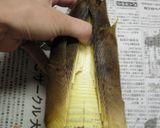 簡単★筍の皮むき&灰汁抜き作り方2写真