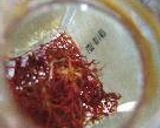 はまぐりぴらふ。作り方1写真