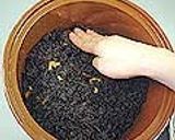 厚生塩を使った梅干の漬け方作り方12写真