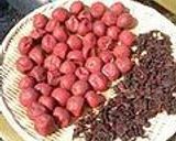 厚生塩を使った梅干の漬け方作り方14写真