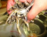 そのまま食べられる★だし★カルシウム補給作り方6写真