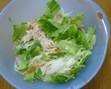 ついつい食べすぎちゃう大根&玉葱サラダ♪作り方4写真