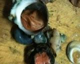 桜新町のサザエさん／梅味つぼ焼き作り方4写真