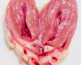 元ハンバーグ職人!鶏レバーの麻辣甘辛煮!作り方10写真