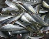 圧力鍋で★小あじとセロリの簡単トマト煮作り方3写真