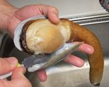 とっても簡単☆ミル貝のお造り作り方2写真