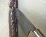 焼穴子茶漬。作り方4写真