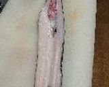 焼穴子茶漬。作り方5写真