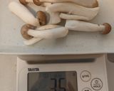具沢山味噌汁作り方7写真