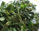 手作りしてみよう！茶葉作り方6写真