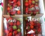 甘さ控えめ☆苺ジャム作り方1写真