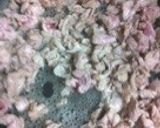 ふきと豚肉の旨煮作り方2写真