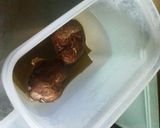 華やかいなり作り方3写真