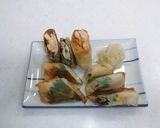 春巻きde鶏ささみシソ作り方6写真