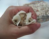 豆腐としいたけの節約シューマイ作り方7写真