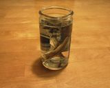 カップ酒で簡単いりこ酒作り方4写真