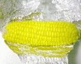 ひとり暮らしのごはん～炊飯器ＤＥごはん作り方5写真