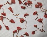 桜寿司（おむすび）作り方3写真