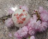 桜寿司（おむすび）作り方8写真