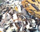 八目豆作り方11写真