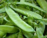 初夏の味～さやえんどうのゼリー寄せ作り方1写真