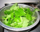 カンタン レモンバームジュース作り方1写真