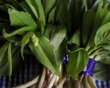あずき菜の胡麻和え作り方1写真