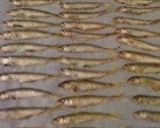 稚鮎の甘露煮作り方3写真