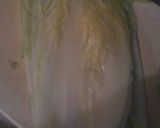 くるくる白菜作り方1写真