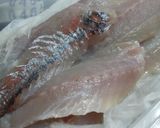 春キャベツたっぷり鯵のかば焼き丼作り方1写真
