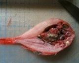 骨まで食べようキンキン(キンキ)の唐揚げ作り方2写真