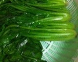 超簡単..5分.丼で.ごま和えほうれん草作り方6写真