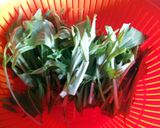 水菜とわかめのわさび和え作り方1写真