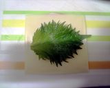 ＊簡単＊ハムとチーズと大葉の水菜巻き作り方1写真