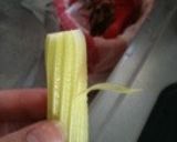 セロリ嫌いでも食べられるセロリの食べ方‼作り方2写真