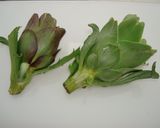 イタリアン『カルチョフィのオレガノ風味』作り方1写真