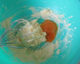 しっとりリッチな焼きドーナツ(PBなし)作り方3写真