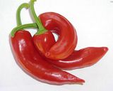 鶏のセビチェ作り方4写真